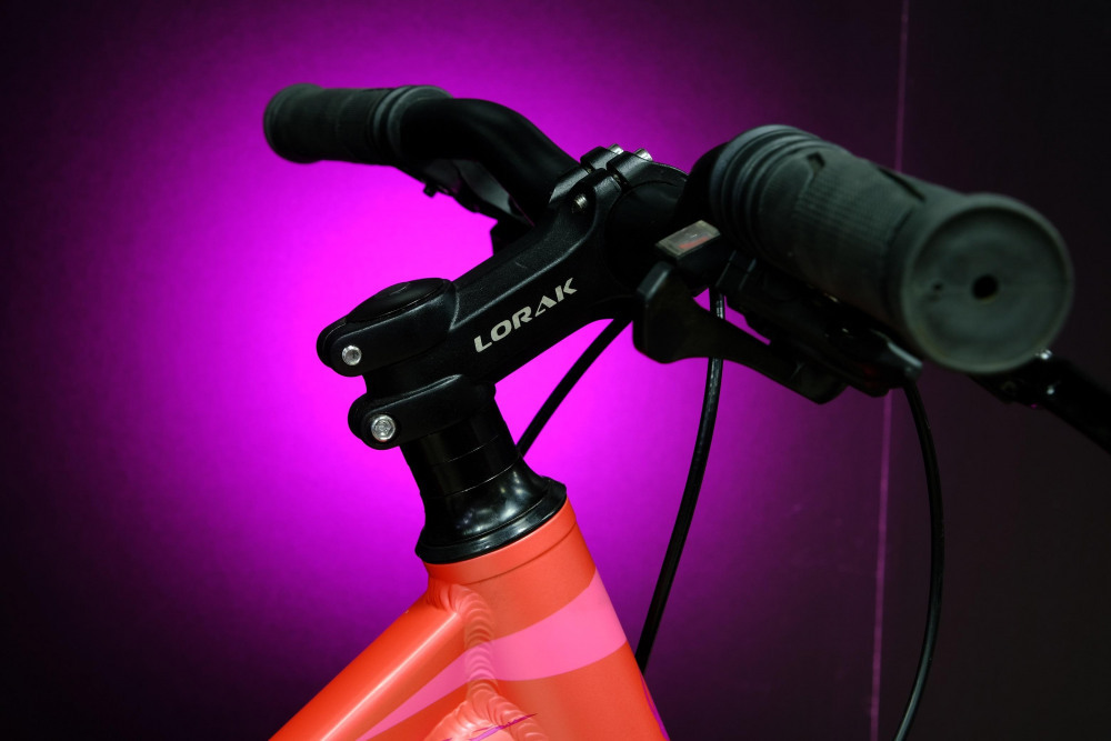 Lorak Shark M 24 Персиковый/Фиолетовый