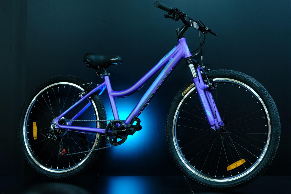 Lorak Glory 4 Матовый Фиолетовый/Голубой рама 15 (на рост 141-160)